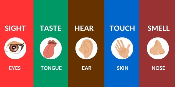 Taste of Food: Different Types of Tastes