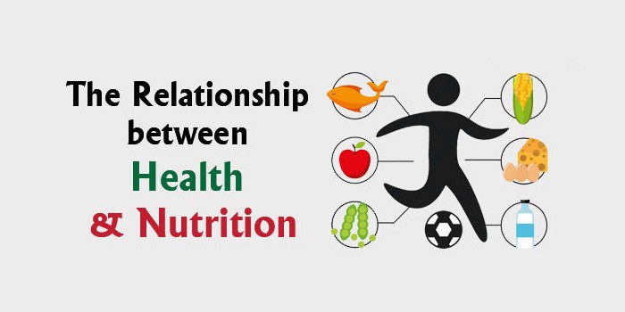 Relationship between Nutrition and Health