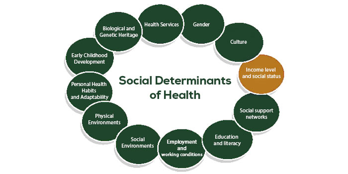 12 Social Determinants of Health